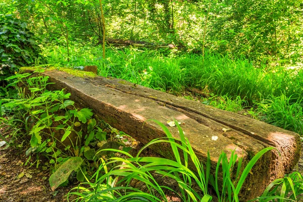 Banco de madera del parque — Foto de Stock