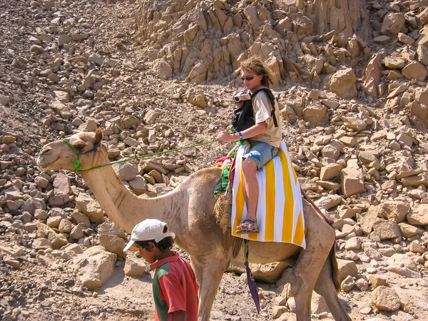 Touristique sur chameaux — Photo