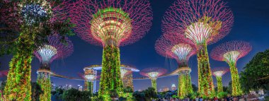 Supertree Singapur Panoraması