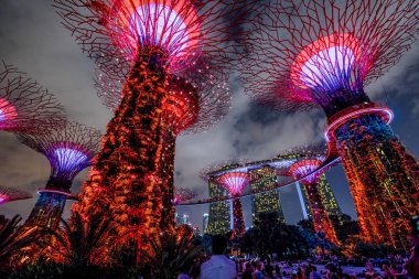 Supertree Singapur Haritayı