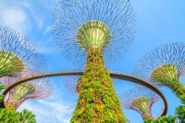 Supertree Korusu Singapur