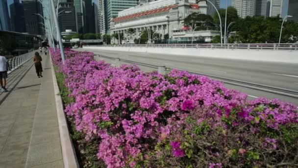 Fullerton Hotel y Puente Esplanade — Vídeo de stock