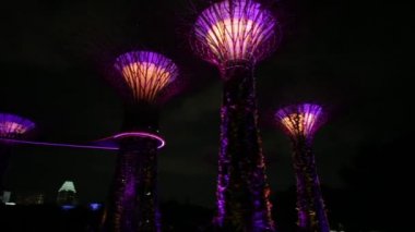 Supertree ışık gösterisi