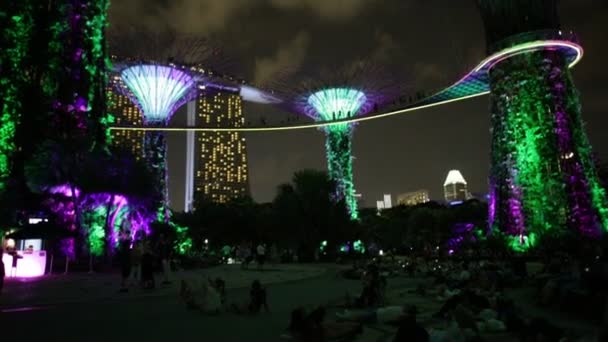 Supertree Grove Singapur — Stockvideo