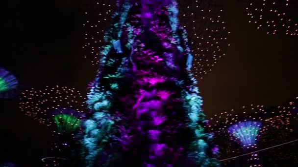 超级树新加坡全景 — 图库视频影像