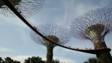 Supertree Korusu Singapur