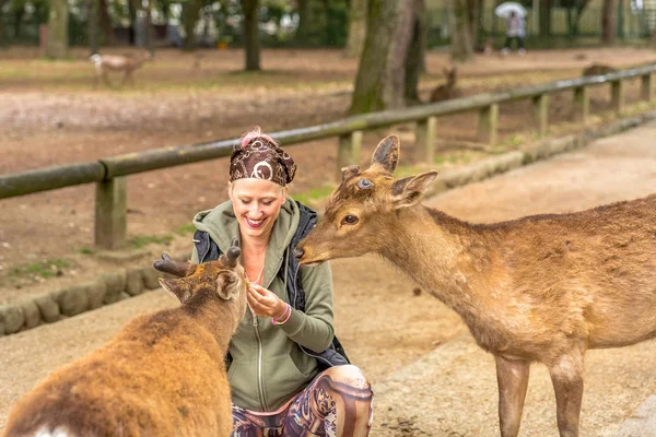 Deer harassing tourists — Stock Photo, Image