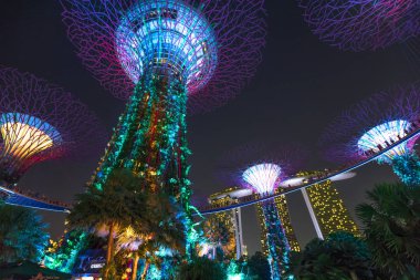 Supertree ışık gösterisi