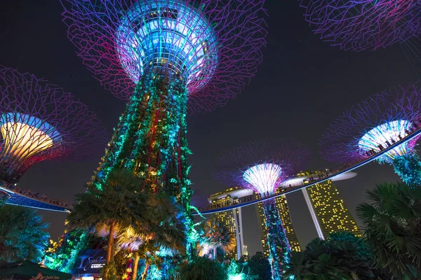 Supertree ışık gösterisi