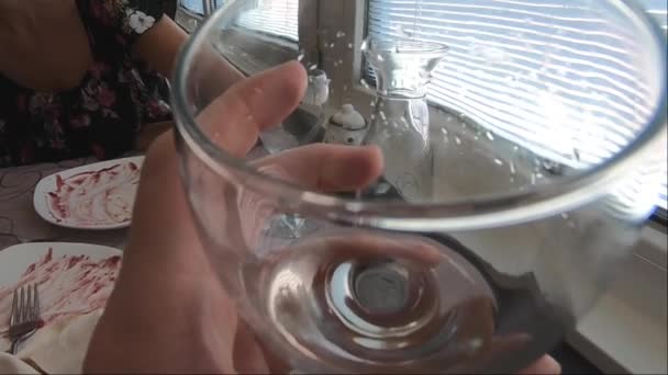 Wein aus Glas trinken — Stockvideo