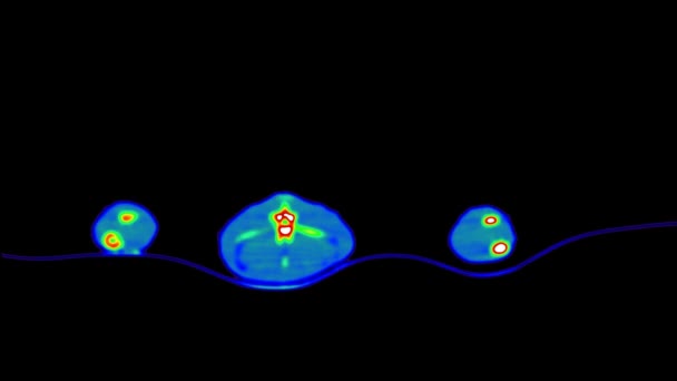 Reptiel Ct-scan — Stockvideo