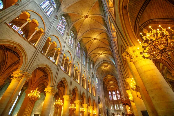 Notre Dame orta nefin