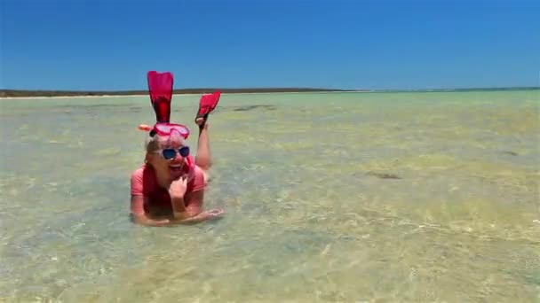 Snorkeler в затоці Шарк — стокове відео