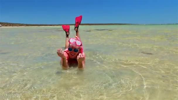 Snorkeler nella baia di Shark — Video Stock