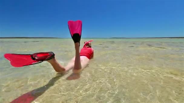 Snorkeling a Shark Bay — Video Stock