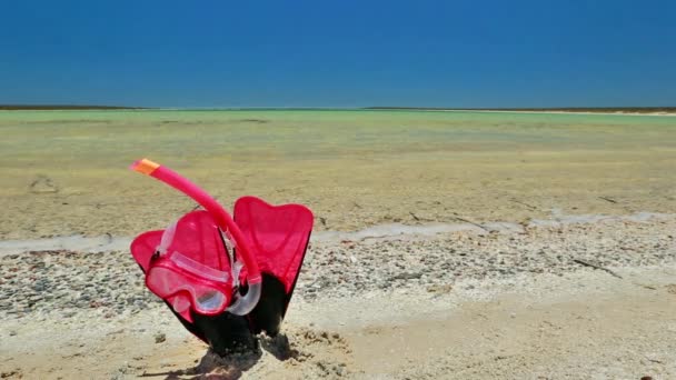 Máscara de buceo y aletas — Vídeos de Stock