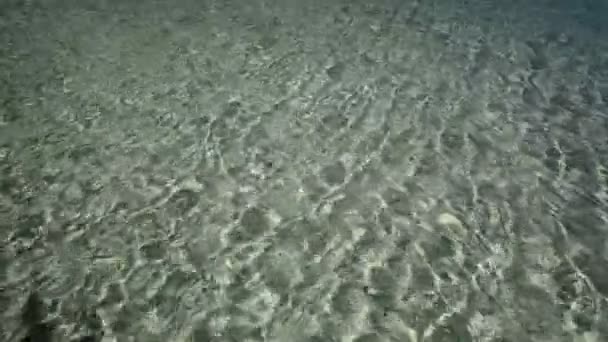 Beach water achtergrond — Stockvideo