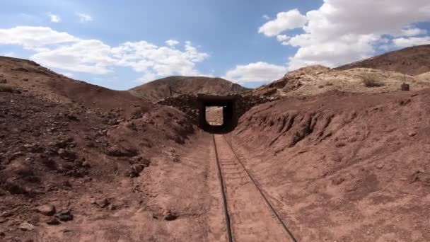 Calico gallery train — Stock Video