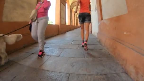 San Luca heiligdom archway — Stockvideo