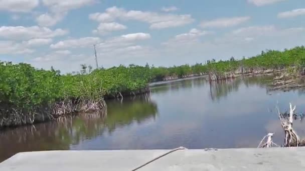 Mangrove tour en airboat — Video