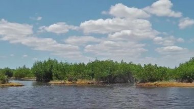 Everglades tur tekne tarafından