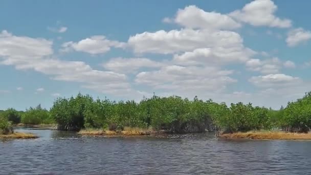 Everglades tur med Airboat — Stockvideo