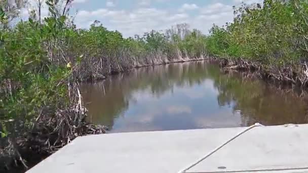 Мангрових тур по Airboat Pov — стокове відео