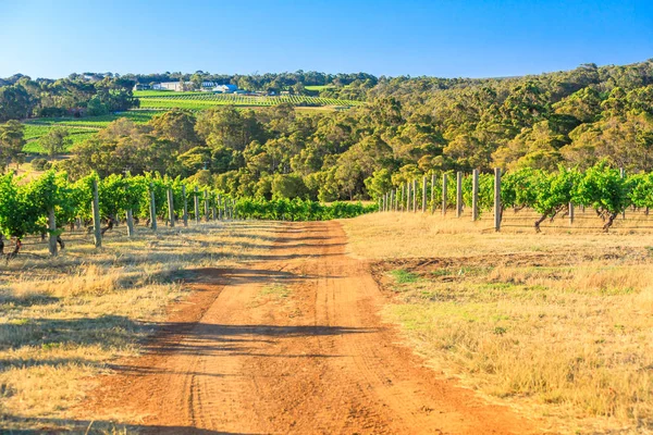 澳洲葡萄酒产区 — 图库照片