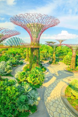 Supertree Korusu Singapur