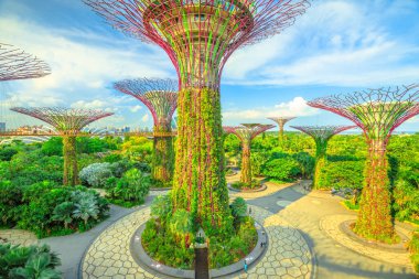 Supertree Korusu Singapur