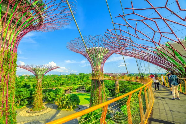 Ponte de Supertree Grove — Fotografia de Stock