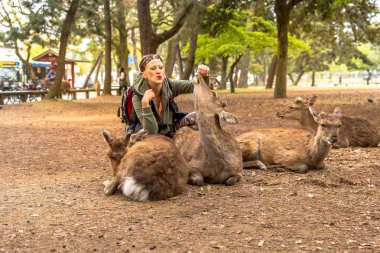 geyik Nara öpüşme