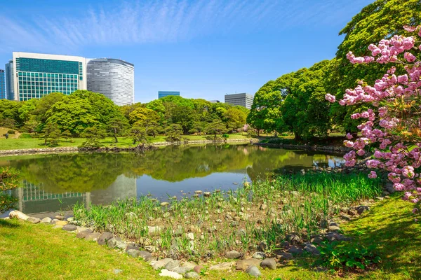 Edifícios do shiodome de jardins de Hamarikyu — Fotografia de Stock