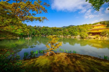 Kinkakuji altın köşk