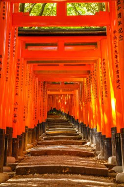 Fushimi Inari Şinto