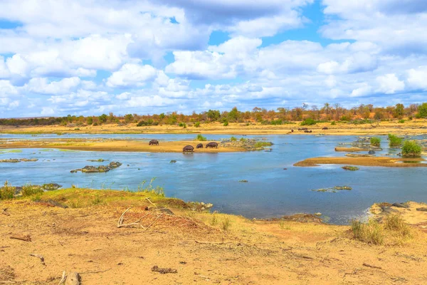 Olifants ποτάμι Κρούγκερ — Φωτογραφία Αρχείου