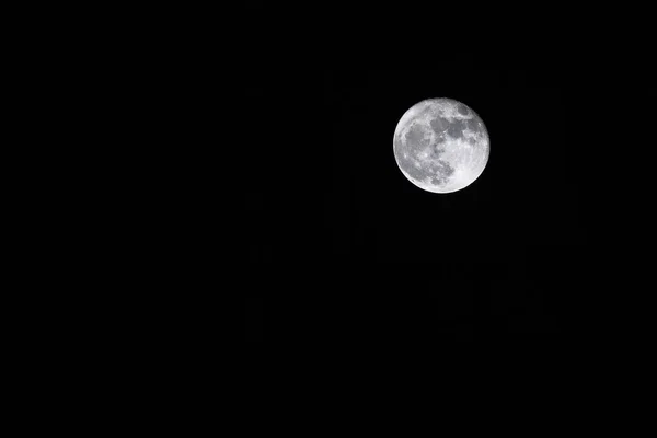 Luna llena derecha — Foto de Stock