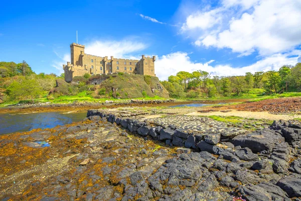 Dunvegan Castle backyard swamp — Stock Photo, Image