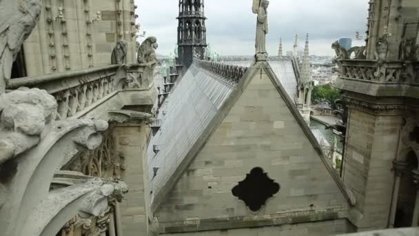 Widok z powietrza Notre Dame — Wideo stockowe