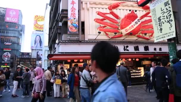 Osaka Kani Doraku crab — Stock Video