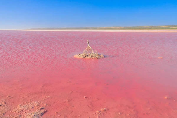 Pink Lake Western Australia — Stock Photo, Image