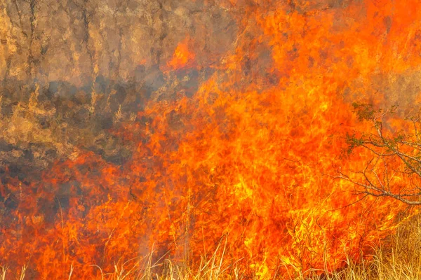 Koncepcyjne klimatu — Zdjęcie stockowe