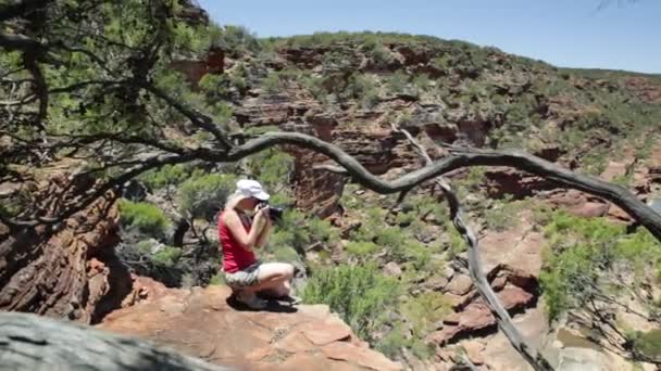 Fotograf bei kalbarri — Stockvideo