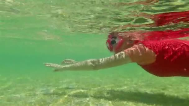 Shark Bay snorkeler kadın — Stok video