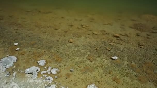 Stromatolites Lago Thetis — Vídeo de stock