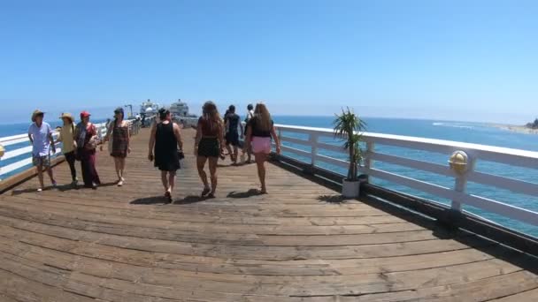 Történelmi Malibu Pier — Stock videók