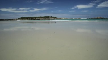 William Bay Np çalışan
