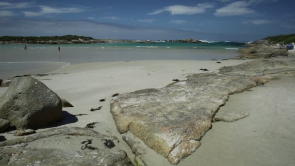 Madfish strand West-Australië — Stockvideo