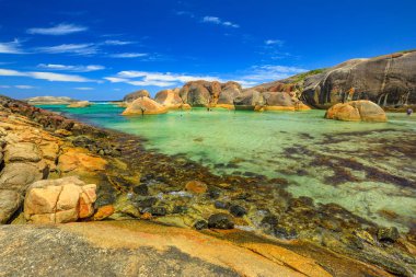William Bay kayalarda fil