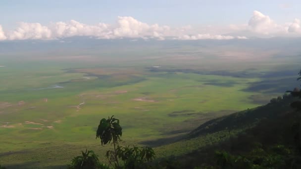 Panorama van de Ngorongoro Conservation Area — Stockvideo